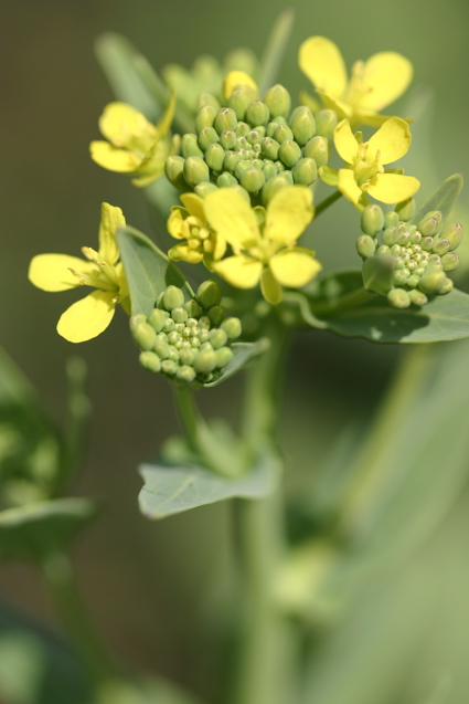 �R�[�`���O