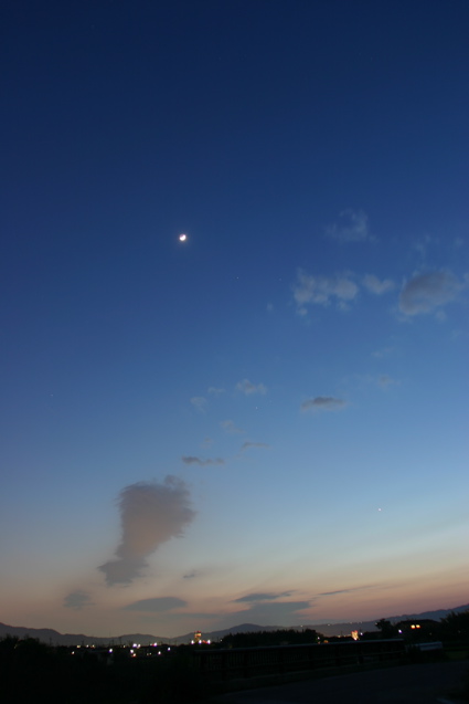 �����T��